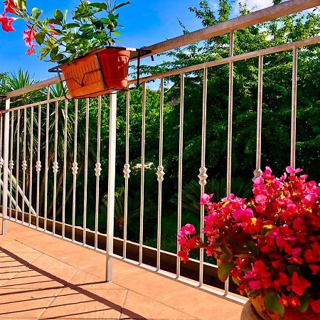Il Ciliegio Villa Stella Cilento Екстериор снимка