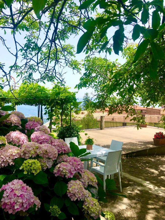 Il Ciliegio Villa Stella Cilento Екстериор снимка